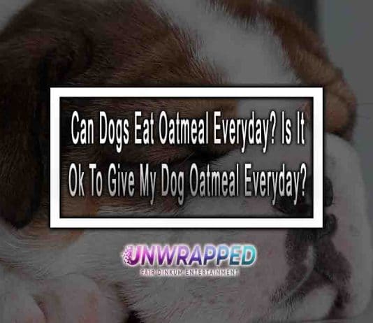 Can Dogs Eat Oatmeal Everyday? Is It Ok To Give My Dogs Oatmeal Everyday? Can Dogs Eat Oatmeal Everyday? Is It Ok To Give My Dog Oatmeal Everyday?