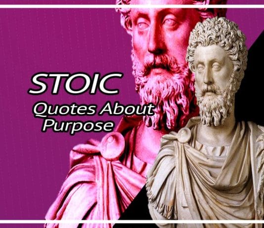 Best Stoic Quotes On Purpose
