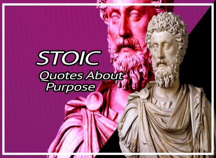 purpose Best Stoic Quotes On Purpose