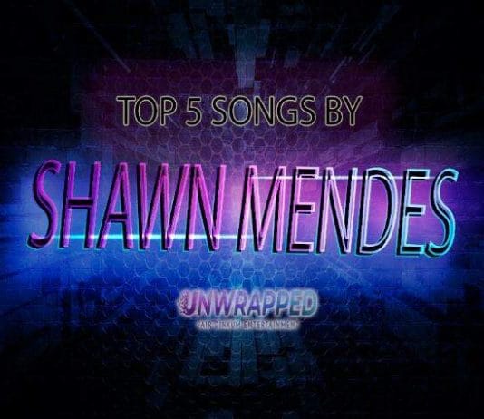 Shawn Mendes: Top 5 Songs