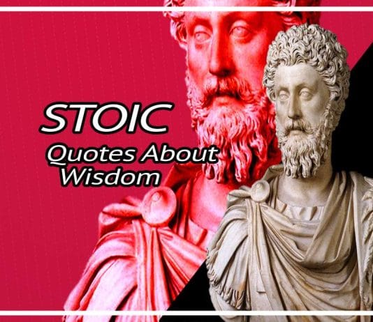 Best Stoic Quotes On Wisdom