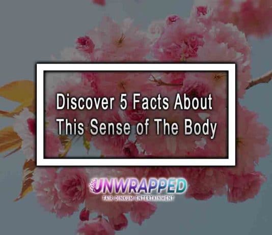 Discover 5 Facts About This Sense of The Body