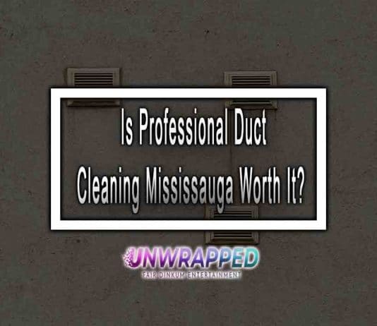 Is Professional Duct Cleaning Mississauga Worth It?