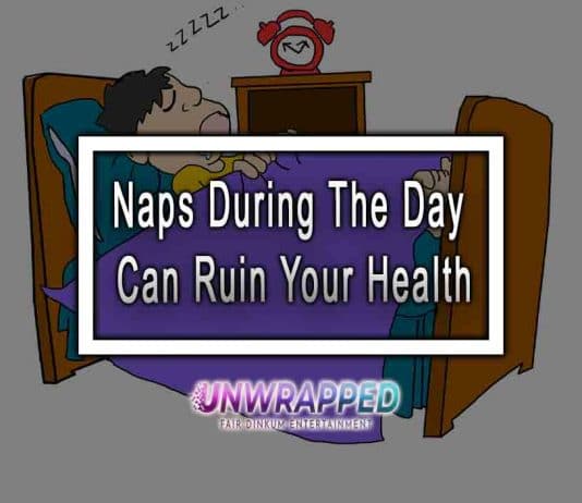 Naps During The Day Can Ruin Your Health Naps During The Day Can Ruin Your Health