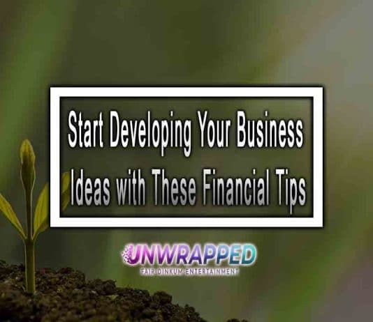 Start Developing Your Business Ideas with These Financial Tips