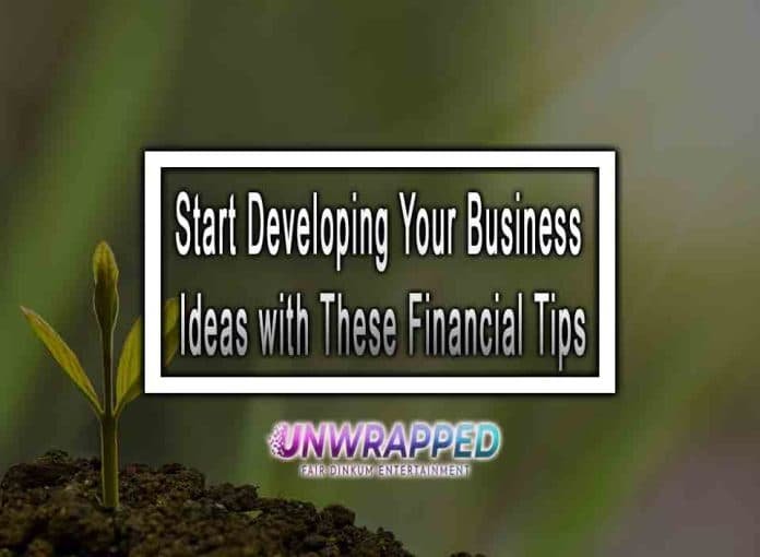 Start Developing Your Business Ideas with These Financial Tips