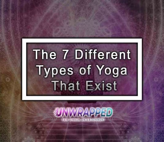 The 7 Different Types of Yoga That Exist