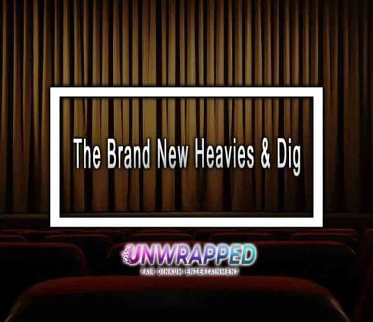 The Brand New Heavies & Dig