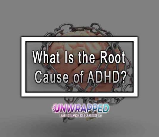 What Is the Root Cause of ADHD? What Is the Root Cause of ADHD?