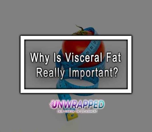 Why Is Visceral Fat Really Important? Why Is Visceral Fat Really Important?