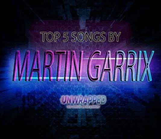 Martin Garrix: Top 5 Songs