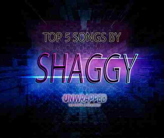 Shaggy: Top 5 Songs