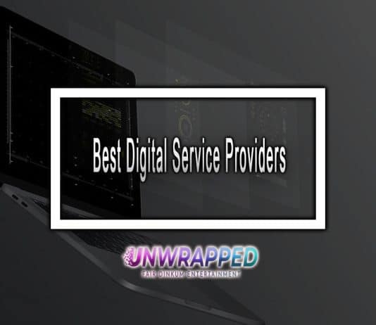 Best Digital Service Providers to Ensure Your Projects Success Best Digital Service Providers