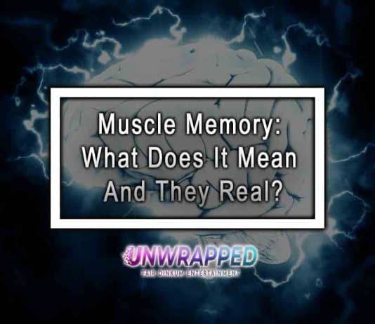 Muscle Memory: What Does It Mean And They Real?