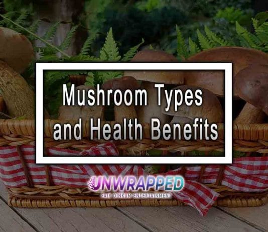 Mushroom Types and Health Benefits Mushroom Types and Health Benefits