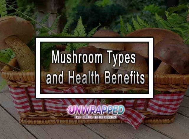 Mushroom Types And Health Benefits