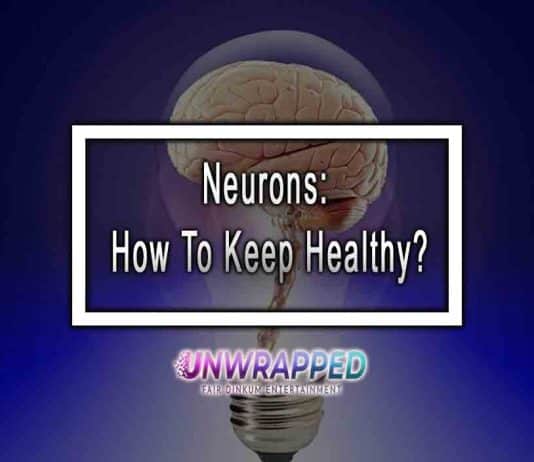 Neurons: How To Keep Healthy?