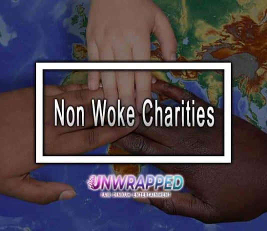 Non Woke Charities