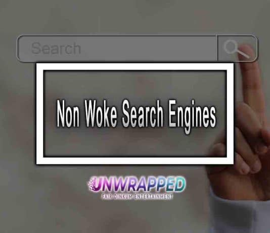 Non Woke Search Engines