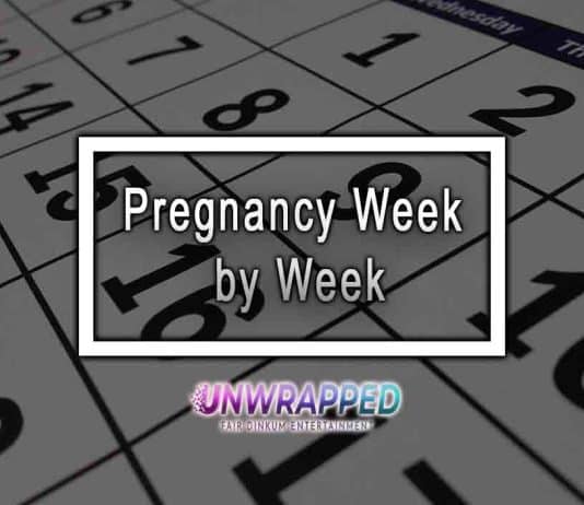 Pregnancy Week by Week – Must Know Body Changes 1 to 9 months Pregnancy Week by Week