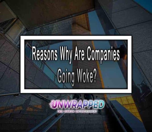 Reasons Why Are Companies Going Woke?