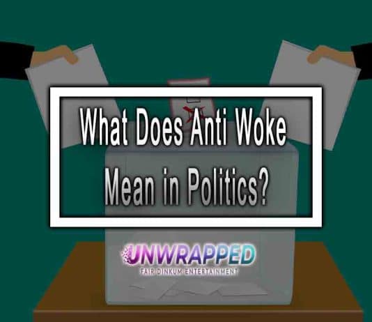 What Does Anti Woke Mean in Politics?