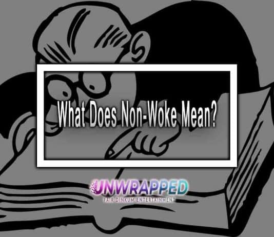 What Does Non-Woke Mean? What Does Non-Woke Mean?