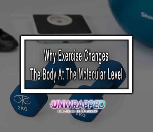 Why Exercise Changes The Body At The Molecular Level
