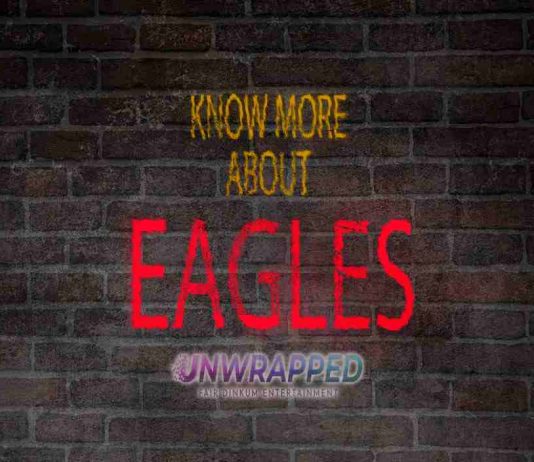 Eagles: Bio, Life, Career, Awards, Facts, Trivia, Favorites Eagles: Bio, Life, Career, Awards, Facts, Trivia, Favorites