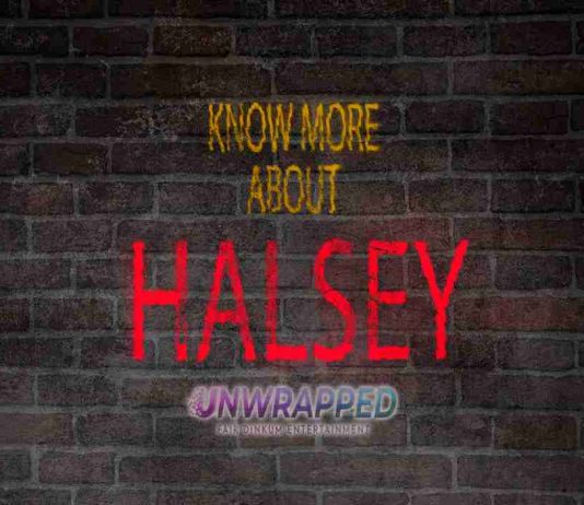 Halsey: Bio, Life, Career, Awards, Facts, Trivia, Favorites