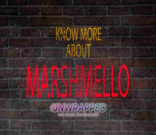 Marshmello: Bio, Life, Career, Awards, Facts, Trivia, Favorites