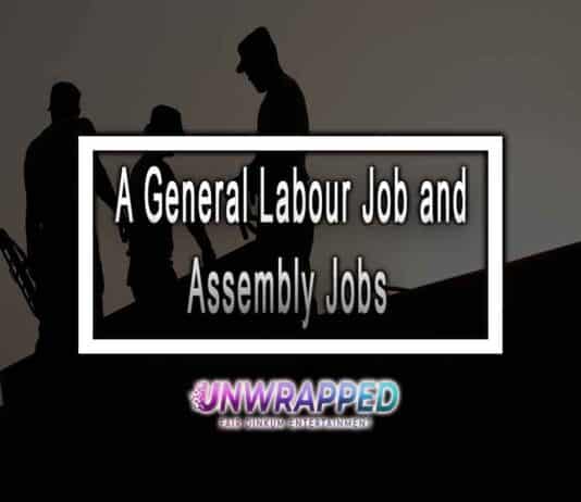 A General Labour Job and Assembly Jobs