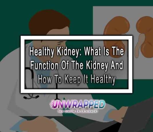 Healthy Kidney: What Is The Function Of The Kidney And How To Keep It Healthy
