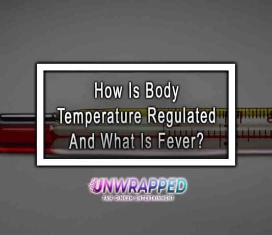 How Is Body Temperature Regulated And What Is Fever?