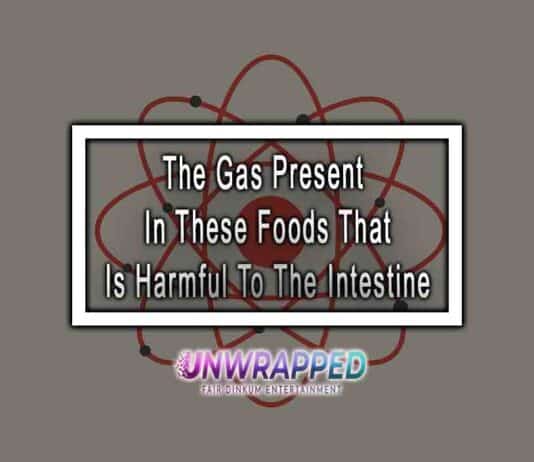 The Gas Present In These Foods That Is Harmful To The Intestine
