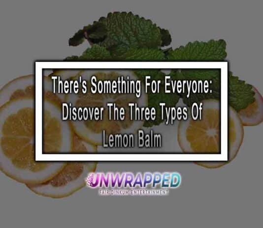 There's Something For Everyone: Discover The Three Types Of Lemon Balm