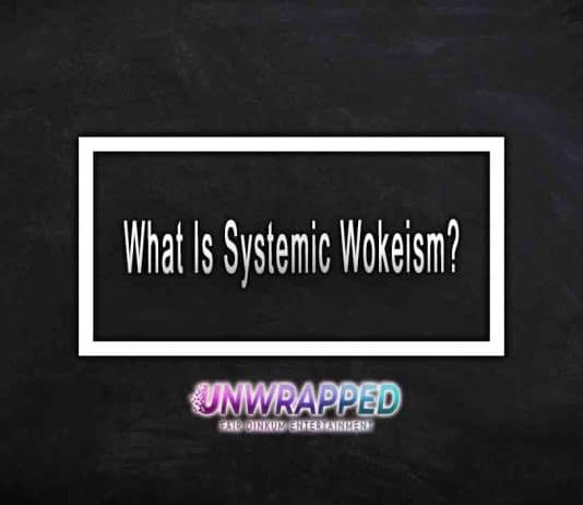 What Is Systemic Wokeism?