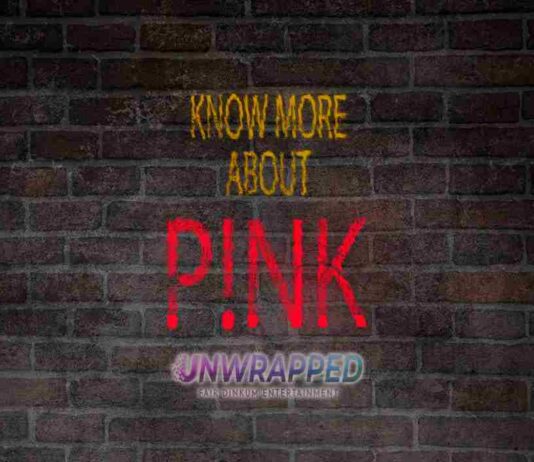 Pink: Bio, Life, Career, Awards, Facts, Trivia, Favorites