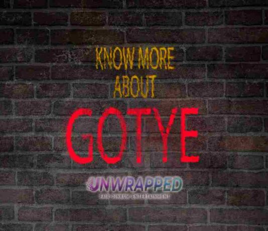 Gotye: Bio, Life, Career, Awards, Facts, Trivia, Favorites