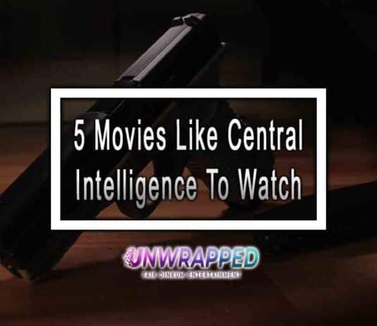 5 Movies Like Central Intelligence To Watch