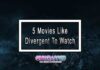 5 Movies Like Divergent To Watch