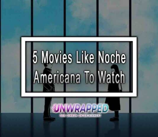 5 Movies Like Noche Americana To Watch