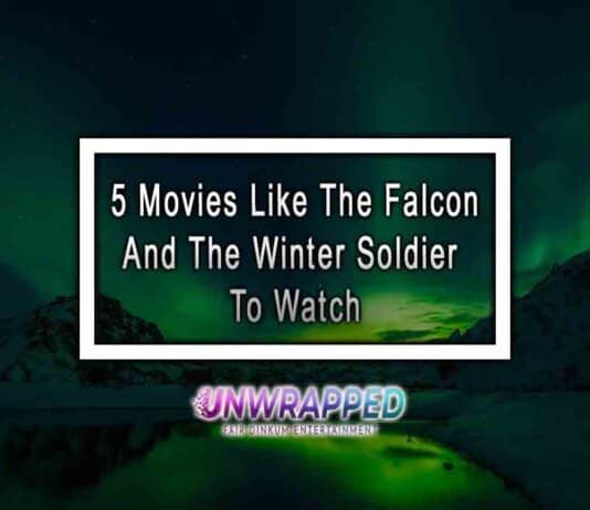 The Falcon And The Winter Soldier