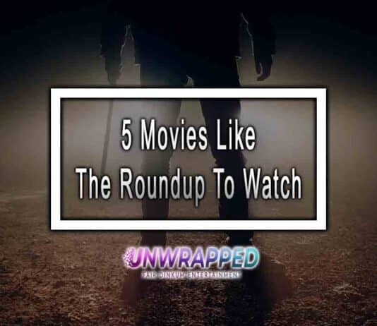 5 Movies Like The Roundup To Watch