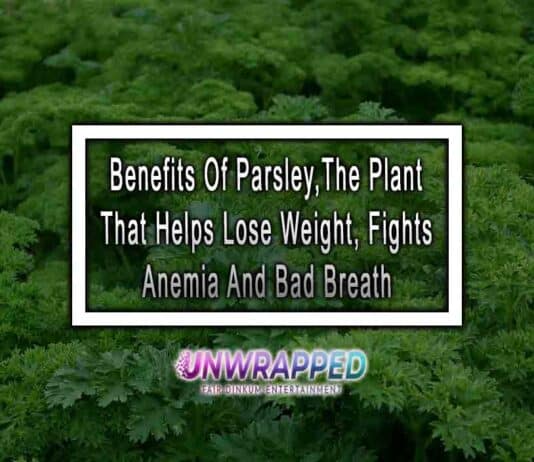 Benefits Of Parsley, The Plant That Helps Lose Weight, Fights Anemia And Bad Breath