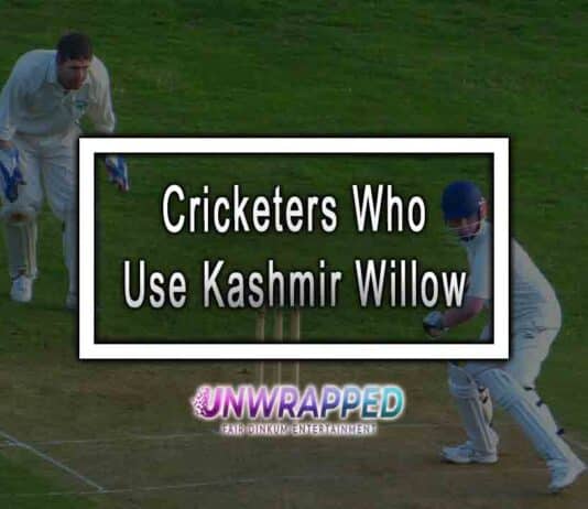 Cricketers Who Use Kashmir Willow Cricketers Who Use Kashmir Willow