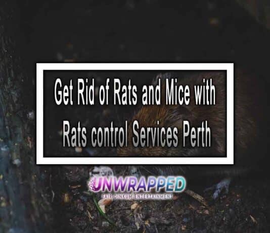 Get Rid of Rats and Mice with Rats control Services Perth
