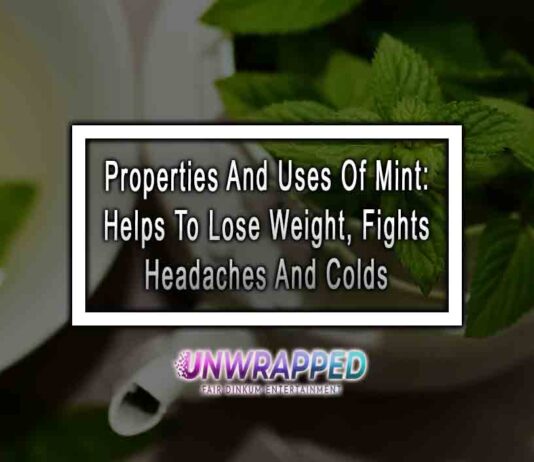 Properties And Uses Of Mint: Helps To Lose Weight, Fights Headaches And Colds