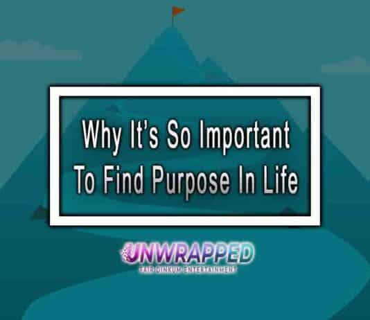 Why It’s So Important To Find Purpose In Life