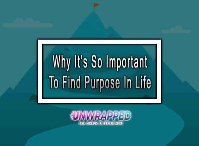 Why It’s So Important To Find Purpose In Life